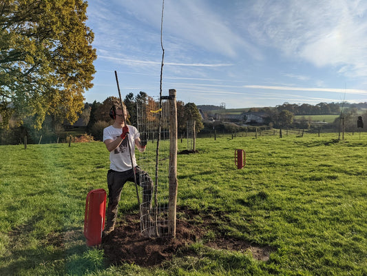 Protection bétail - Lourde