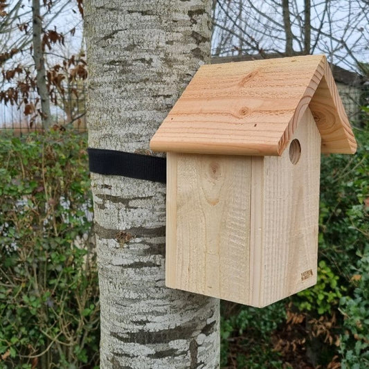 Kit accroche nichoir