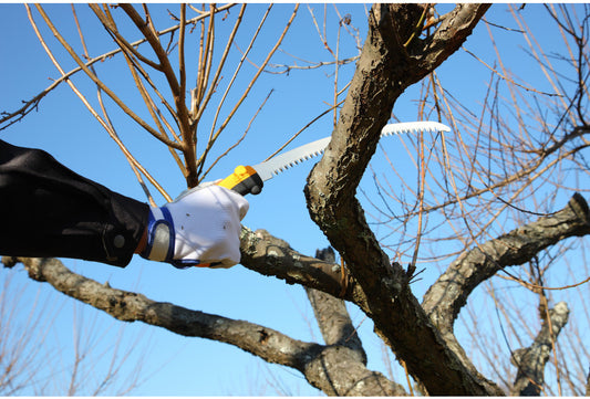 Scie d’élagage Tsurugi Curve 270-10