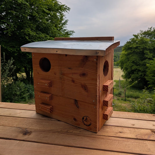 cabane pour écureuil