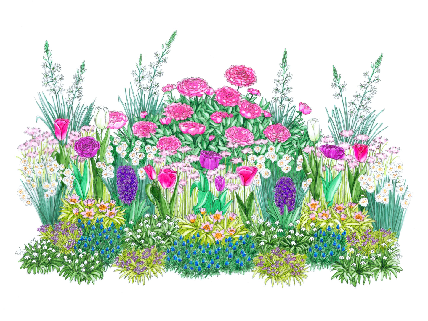Tendre Printemps - Bulbup