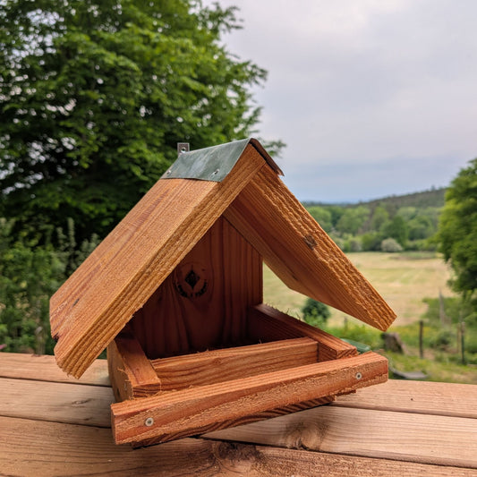 Mangeoire pour plusieurs oiseaux
