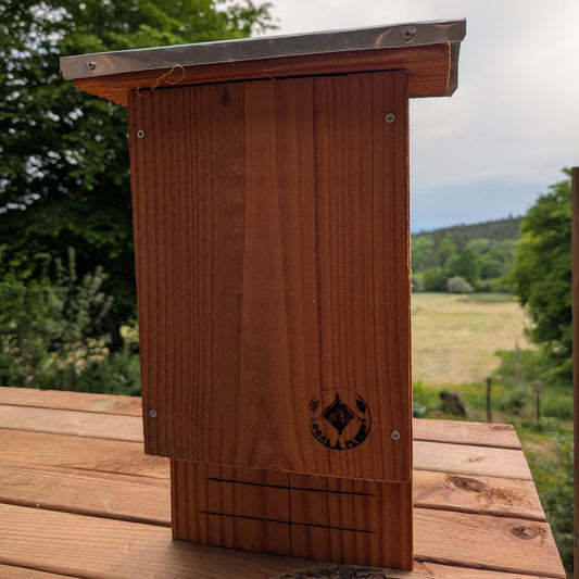 Nichoir pipistrelle