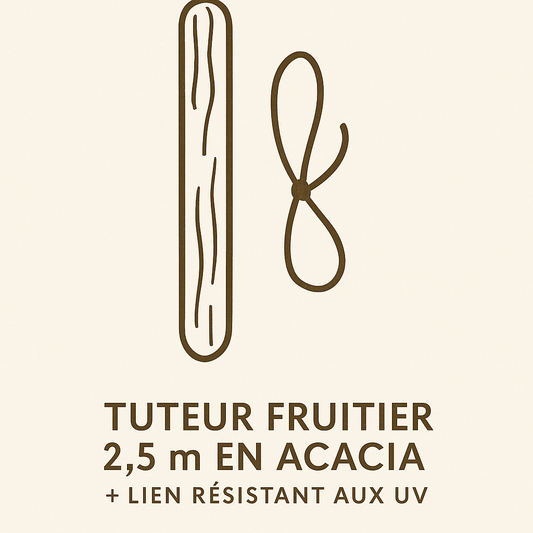 Tuteur fruitier
